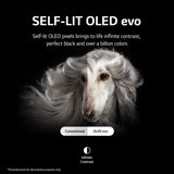 LG OLED42C2PUA 42 Inch HDR 4K Smart OLED TV (2022) - Refurbished